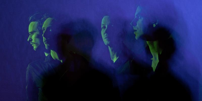 Nordmann S In Velvet Album Has Landed News Unday Records Nordmann fir is the most popular christmas tree in europe and neighbouring countries. unday records